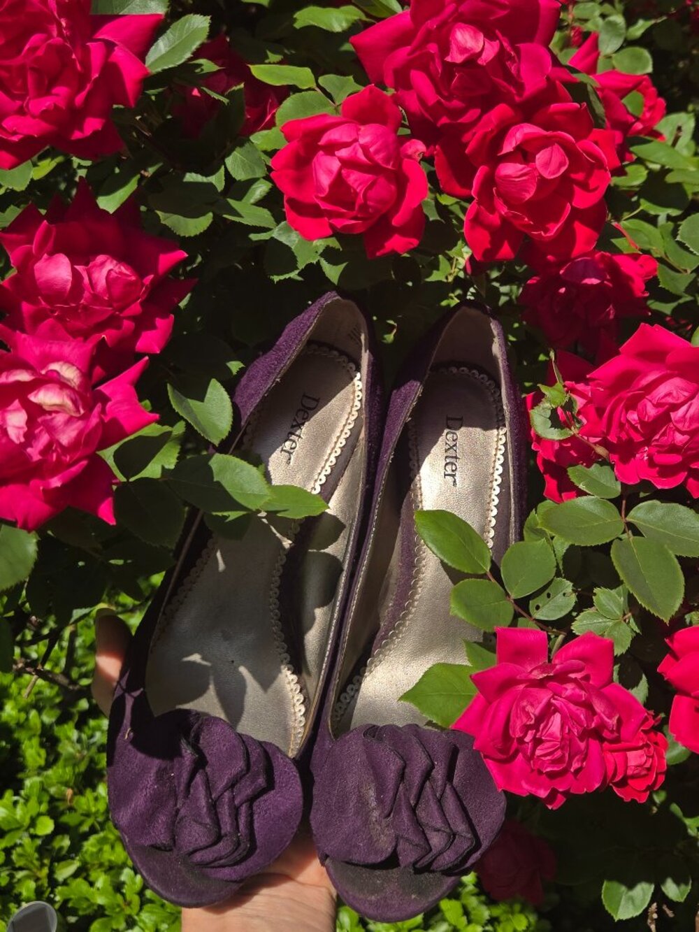Velvet purple peep toe pumps